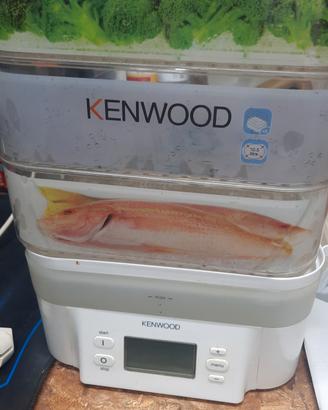 vaporiera Kenwood digitale 