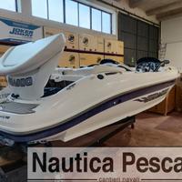 SeaDoo Challenger 2000 Mercury 250 CV 6.20m