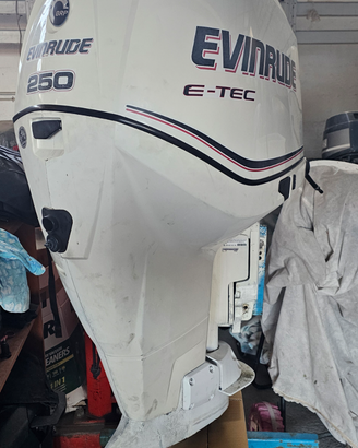 Ricambi evinrude 200 225 250 300 cv