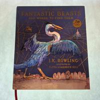 Libro Fantastic Beasts J.K. Rowling  illustrato