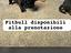 Immagine 5