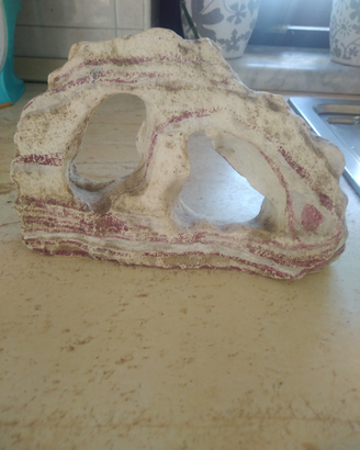 Acquario
