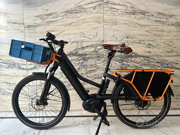 RIESE&MULLER MULTICHARGER