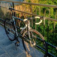 Bicicletta da corsa TREK alluminio/carbonio