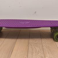 Skateboard Ridge cruiser