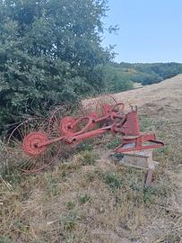 ranghinatore s