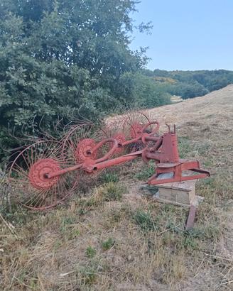 ranghinatore s
