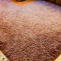 Tappeto per vari ambienti. Prezzo trattabile