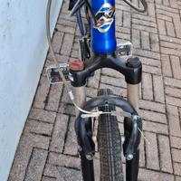 bici trekking 