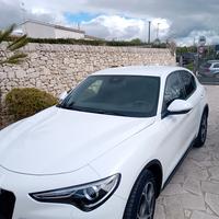 Stelvio diesel usata