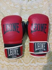 VEND0 GUANTONI DA BOXE 🥊 LEONE
