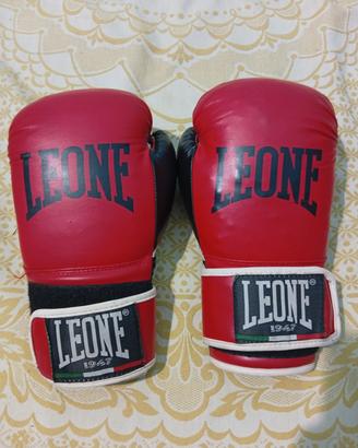 VEND0 GUANTONI DA BOXE 🥊 LEONE