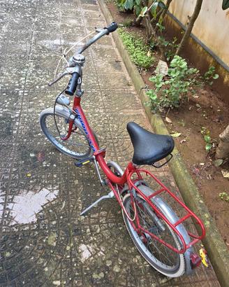 Bici graziella