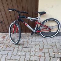 Bici per ragazzi