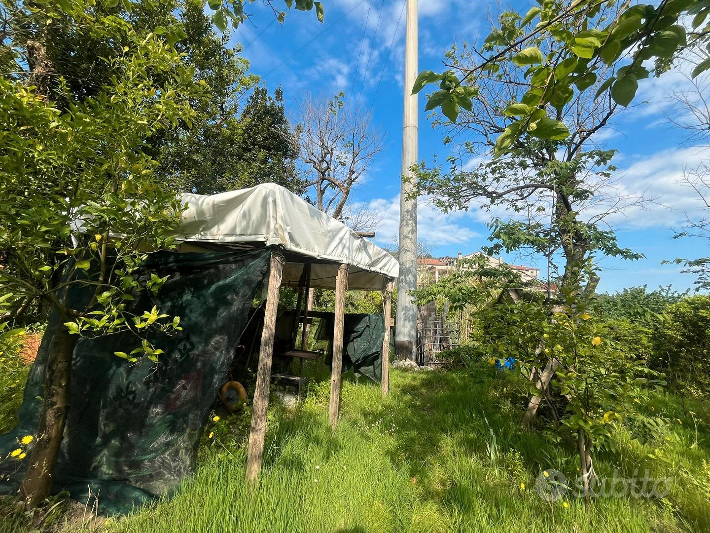 Terreno agricolo - zona montalbino - Vista 6