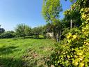 terreno-agricolo-frossasco-cod-rif-3168753vrg-