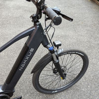 Bicicletta elettrica