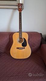 Chitarra acustica "Eko Ranger" con fodero di 2 cm