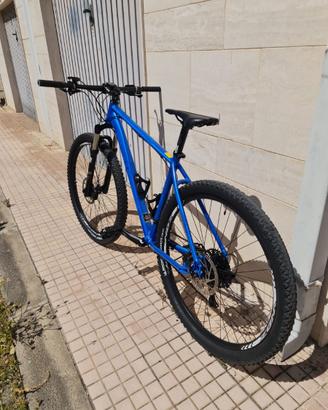 Mtb Lee cougan