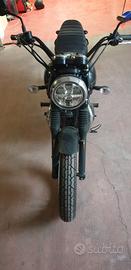 Kawasaki W800 Street 2019