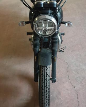 Kawasaki W800 Street 2019