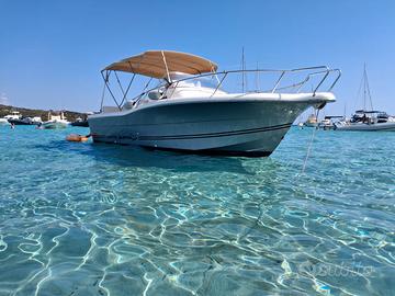 White Shark 268 motori 2022