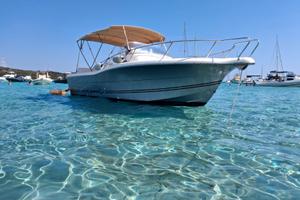 White Shark 268 motori 2022