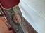 Immagine 3