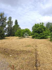 TER. AGRICOLO A SALA BOLOGNESE