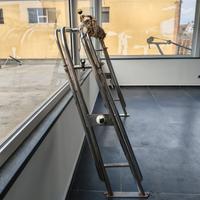 Roll-bar con tendalino integrato