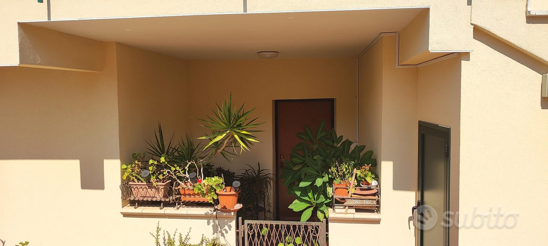 Appartamento – Santa Flavia, Solanto - Vista 2