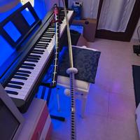 Trafalgar Law Kikoku