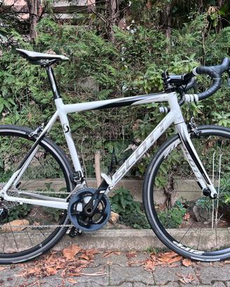 Bici da corsa Scott