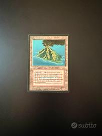 Isola vulcanica FBB ITA Magic