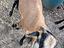 Immagine 2
