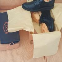 scarpe allacciate donna Tod's