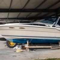 Sea Ray 300 Mercruiser