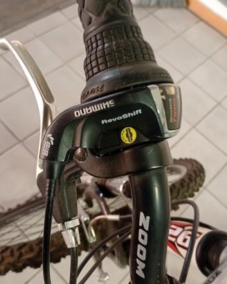 bicicletta 