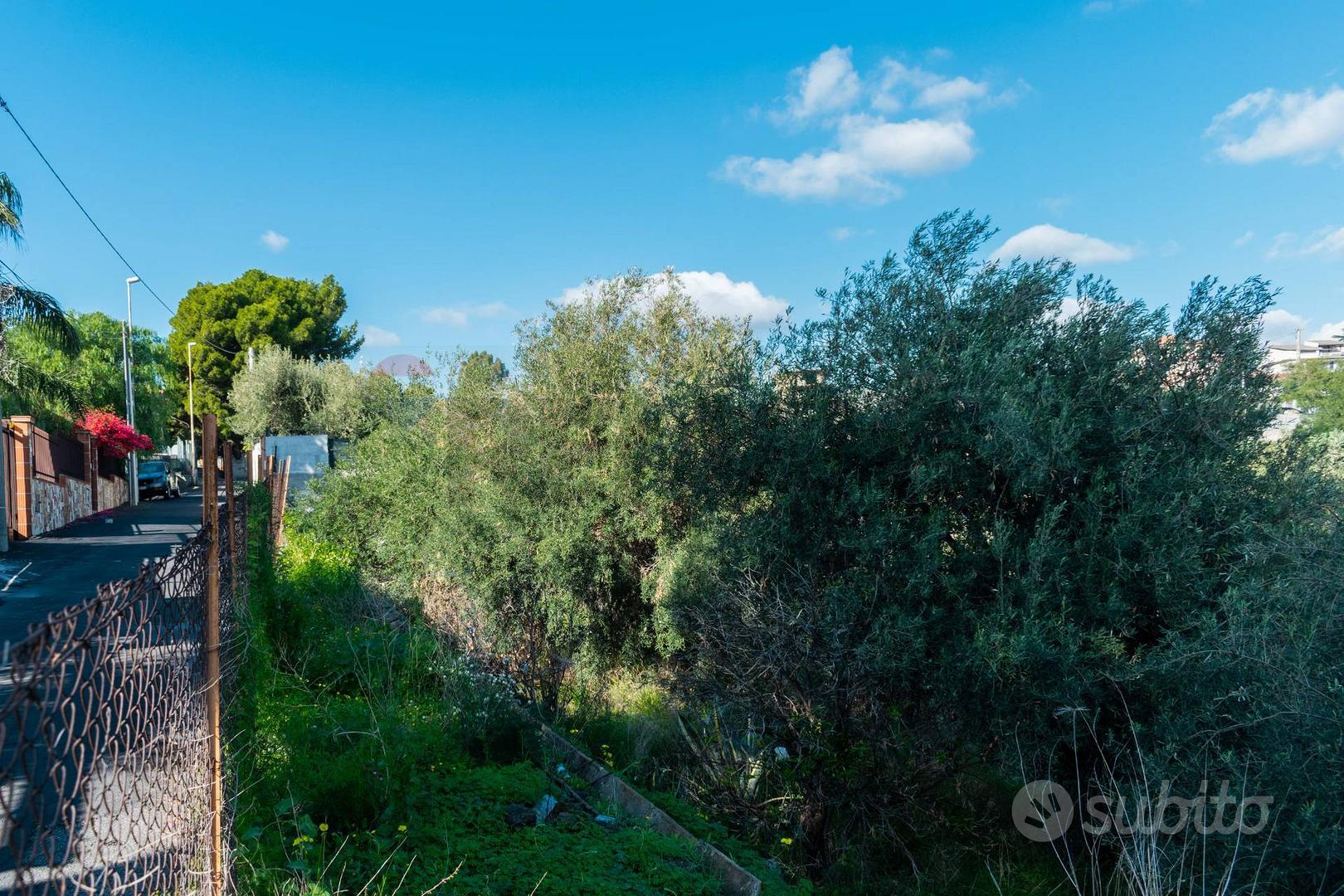 Terreno Edificabile - Misterbianco - Vista 3