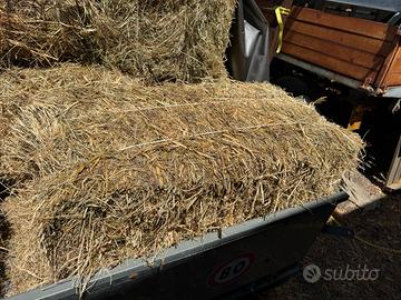 Ballette o ballini di fieno