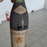 Bottiglie