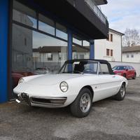 Duetto Osso Di Seppia 1.6