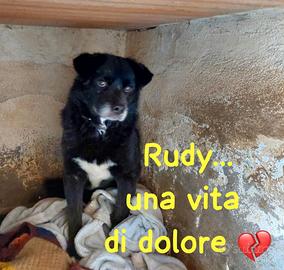 Rudy - 10 anni, una vita di dolore