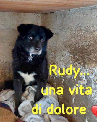 Rudy - 10 anni, una vita di dolore