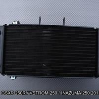 Radiatore SUZUKI GSX 250R VSTROM INAZUMA 250 2013