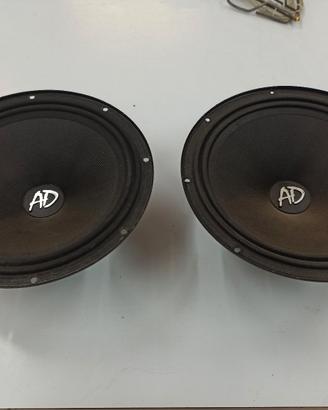 altoparlanti woofer 