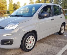 Fiat Panda 1.2 Gpl Easy 03/2018