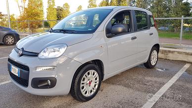 Fiat Panda 1.2 Gpl Easy 03/2018