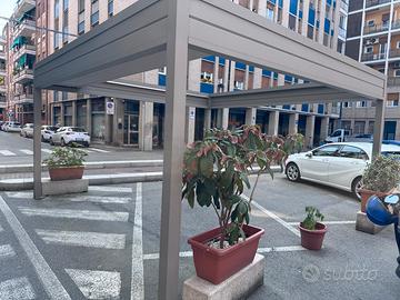 Pergola 5x5m