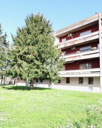 3 LOCALI A REGGIO NELL'EMILIA